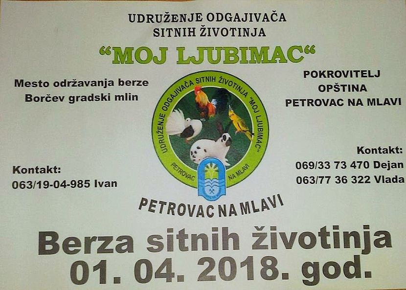 29512724_433639783756243_7954724964588617856_n (2) - T--TARGURI SI EXPOZITII