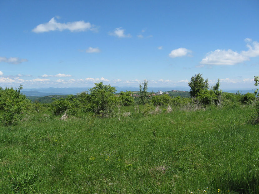 Picture 7876 - 8 LOCURI INCINTATOARE