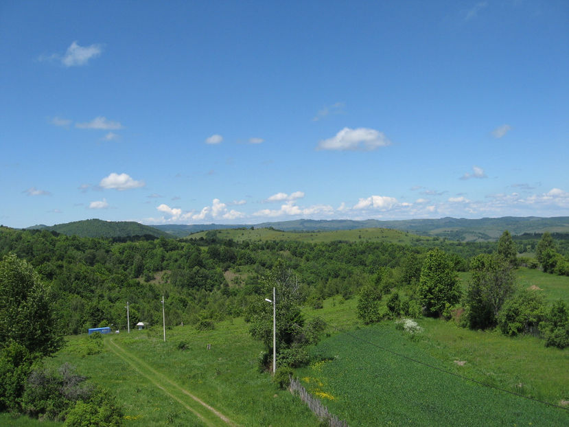 Picture 7887 - 8 LOCURI INCINTATOARE