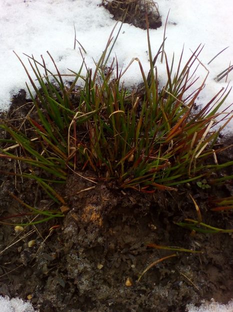  - curtea cu toate cele 2018