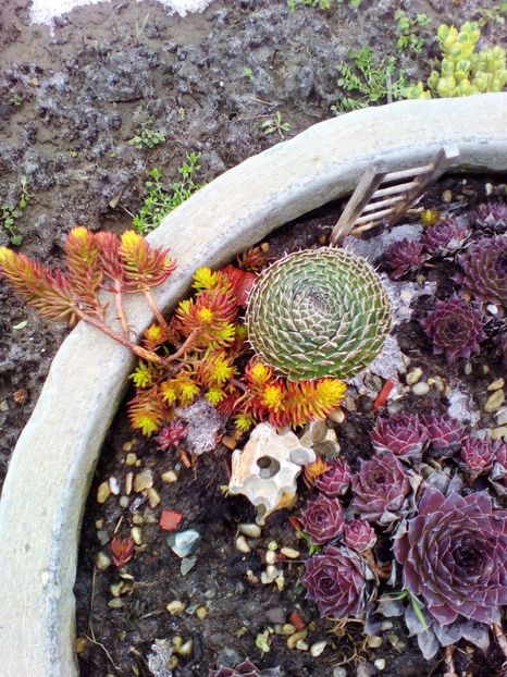  - curtea cu toate cele 2018