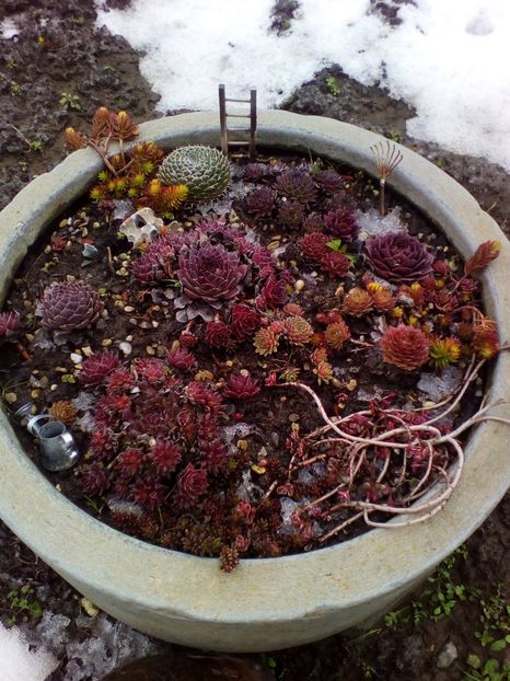  - curtea cu toate cele 2018