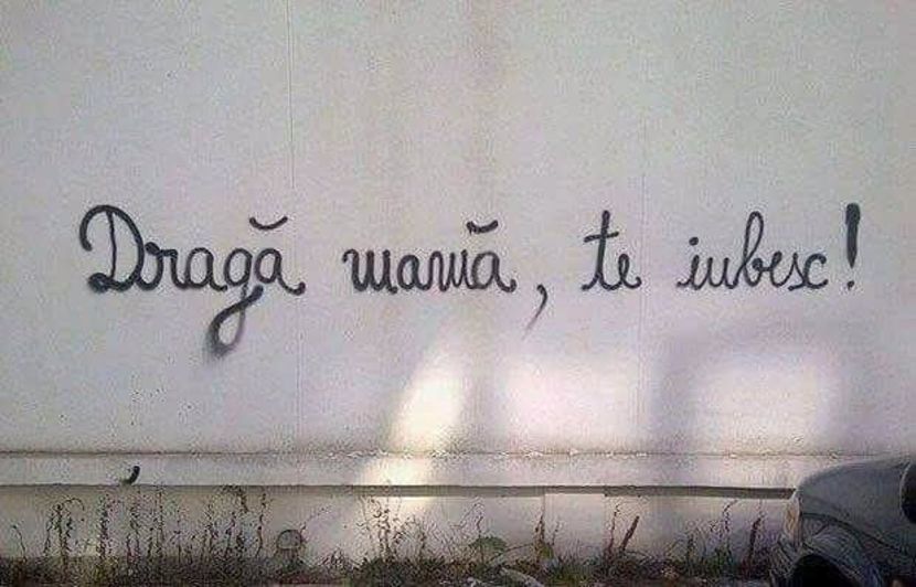  - Poze 2