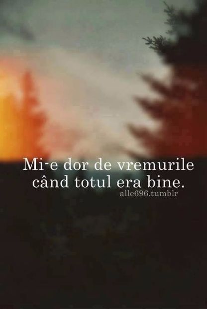  - Poze 2