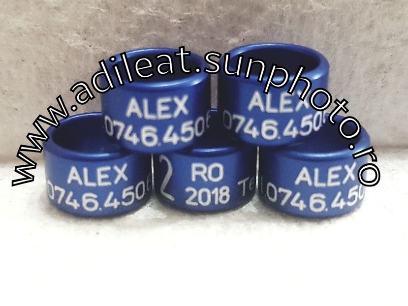 2018-01-20_12-58-10-749 - 1-A-INELE PERSONALIZATE 2018