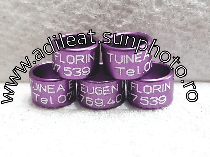 2018-01-20_12-57-43-473 - 1-A-INELE PERSONALIZATE 2018