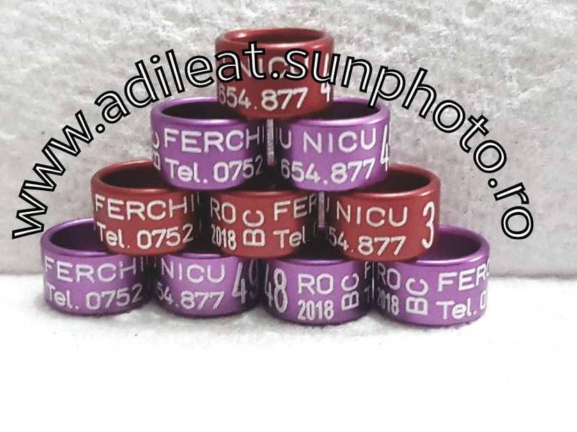 2018-01-20_12-56-25-411 - 1-A-INELE PERSONALIZATE 2018