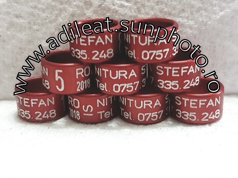 2018-01-20_12-55-34-272 - 1-A-INELE PERSONALIZATE 2018