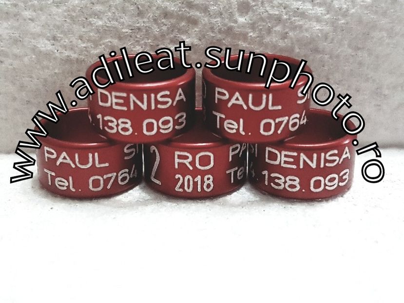 2018-01-20_12-54-17-236 - 1-A-INELE PERSONALIZATE 2018