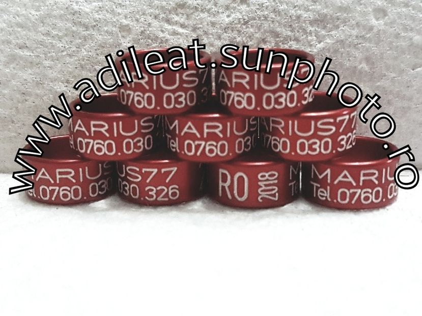 2018-01-20_12-52-29-066 - 1-A-INELE PERSONALIZATE 2018