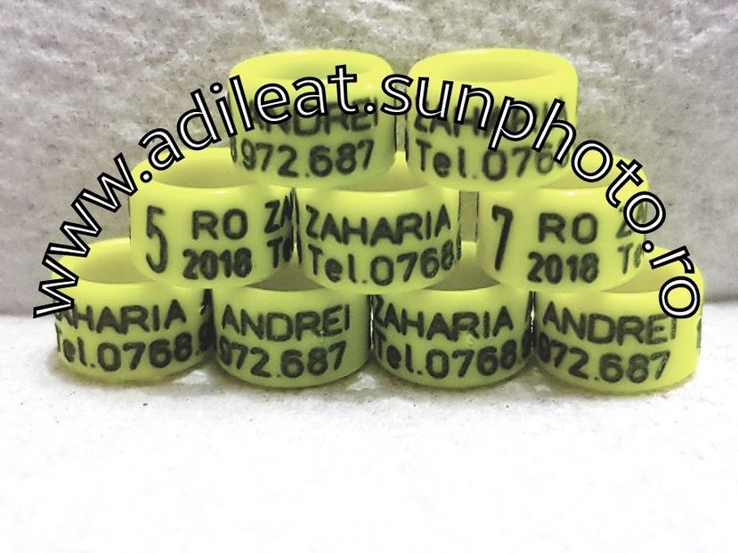 2018-01-20_12-52-04-370 - 1-A-INELE PERSONALIZATE 2018