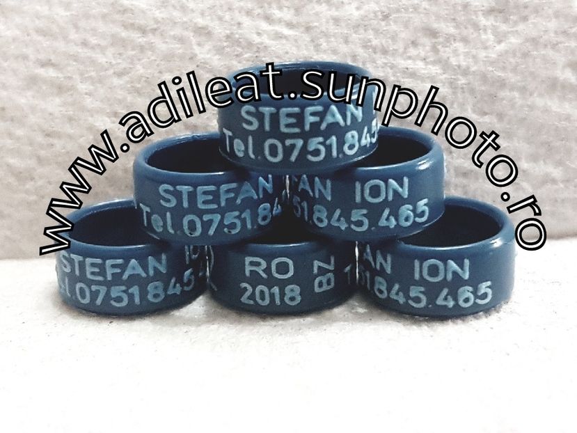 2018-01-20_12-51-37-673 - 1-A-INELE PERSONALIZATE 2018