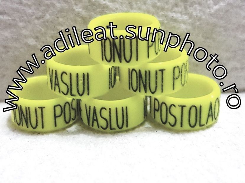 2018-01-20_12-51-12-682 - 1-A-INELE PERSONALIZATE 2018