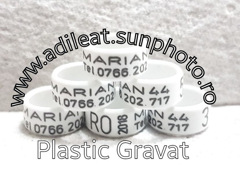 2018-01-20_12-49-07-433 - 1-A-INELE PERSONALIZATE 2018