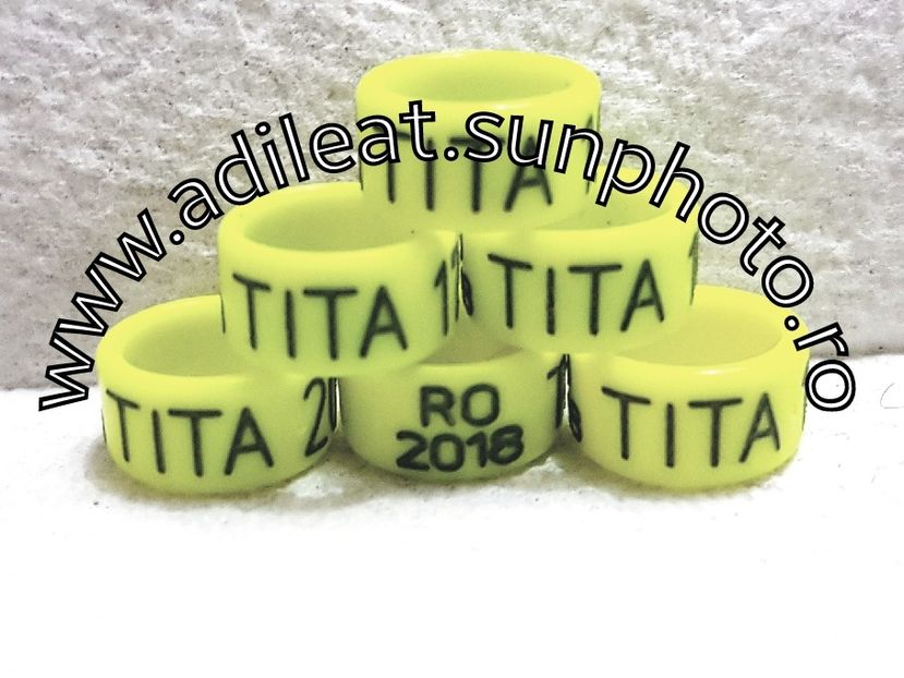 2018-01-20_12-48-15-345 - 1-A-INELE PERSONALIZATE 2018