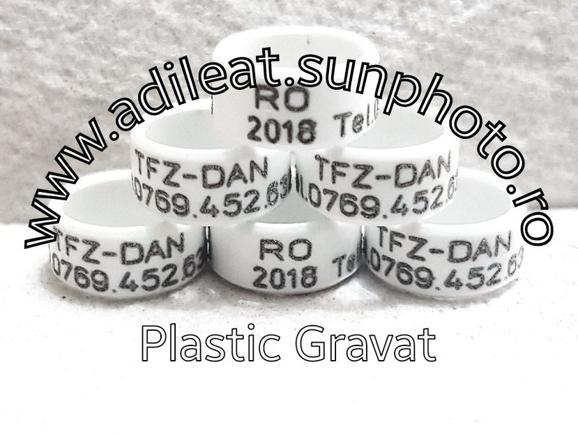 2018-01-20_12-20-53-250 - 1-A-INELE PERSONALIZATE 2018