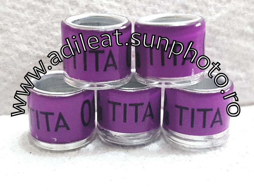 2018-01-20_12-19-55-002 - 1-A-INELE PERSONALIZATE 2018