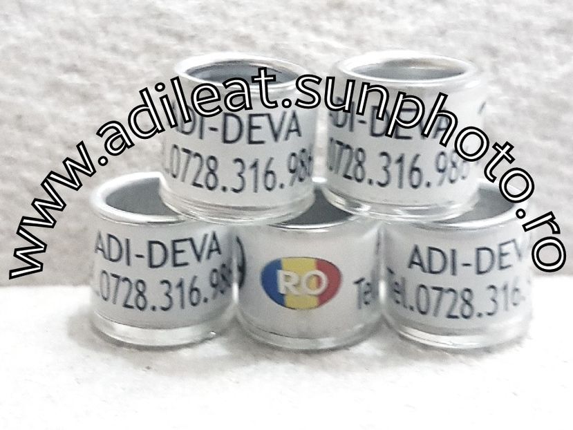 2018-01-20_12-19-28-477 - 1-A-INELE PERSONALIZATE 2018