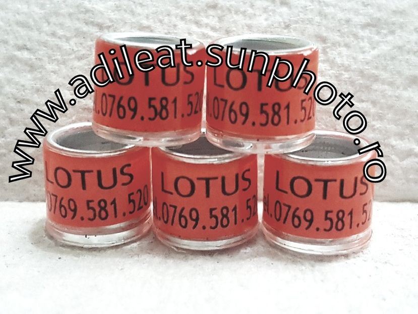 2018-01-20_12-19-04-022 - 1-A-INELE PERSONALIZATE 2018