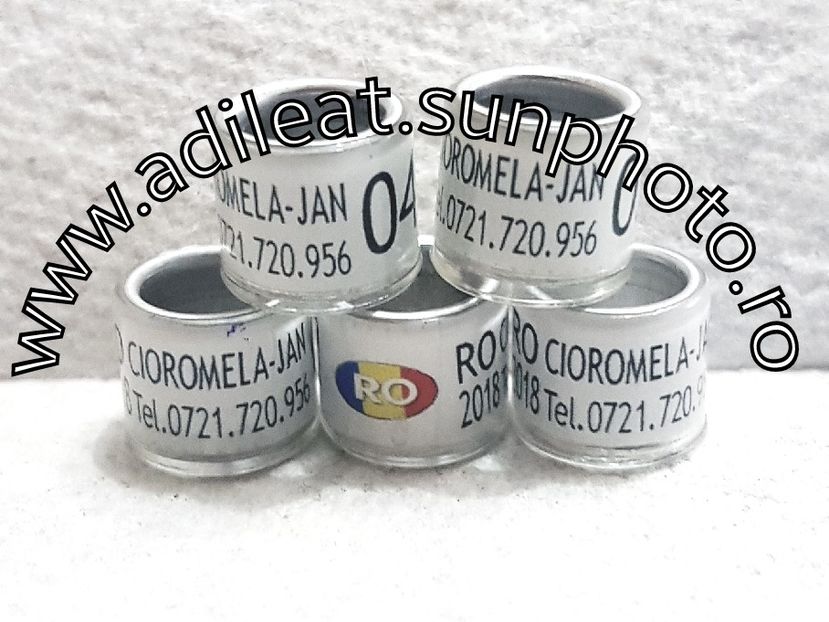 2018-01-20_12-18-38-913 - 1-A-INELE PERSONALIZATE 2018