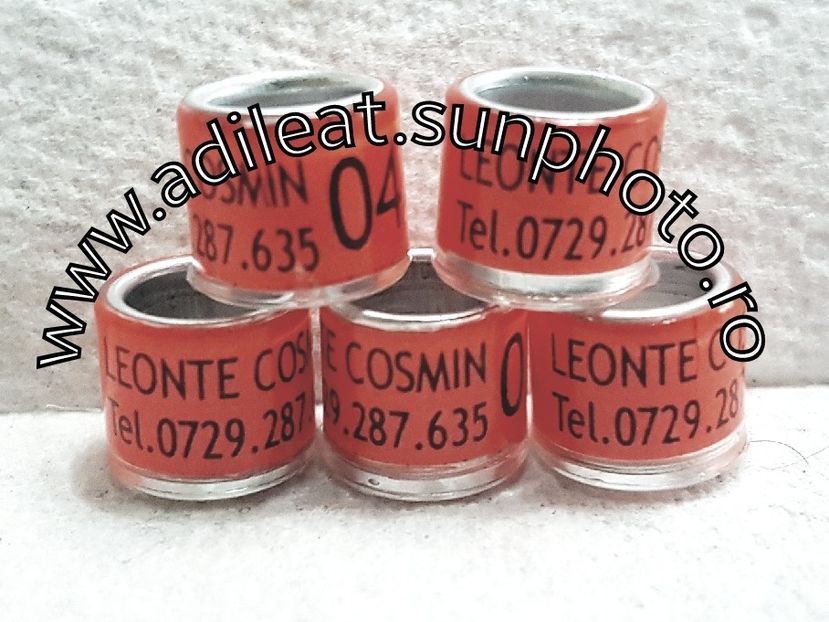 2018-01-20_12-18-01-742 - 1-A-INELE PERSONALIZATE 2018