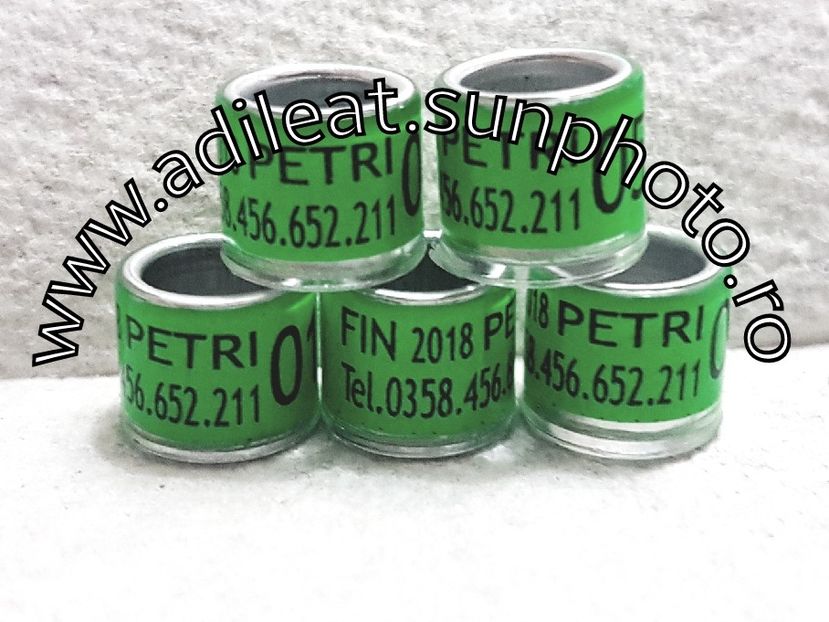 2018-01-20_12-17-12-633 - 1-A-INELE PERSONALIZATE 2018