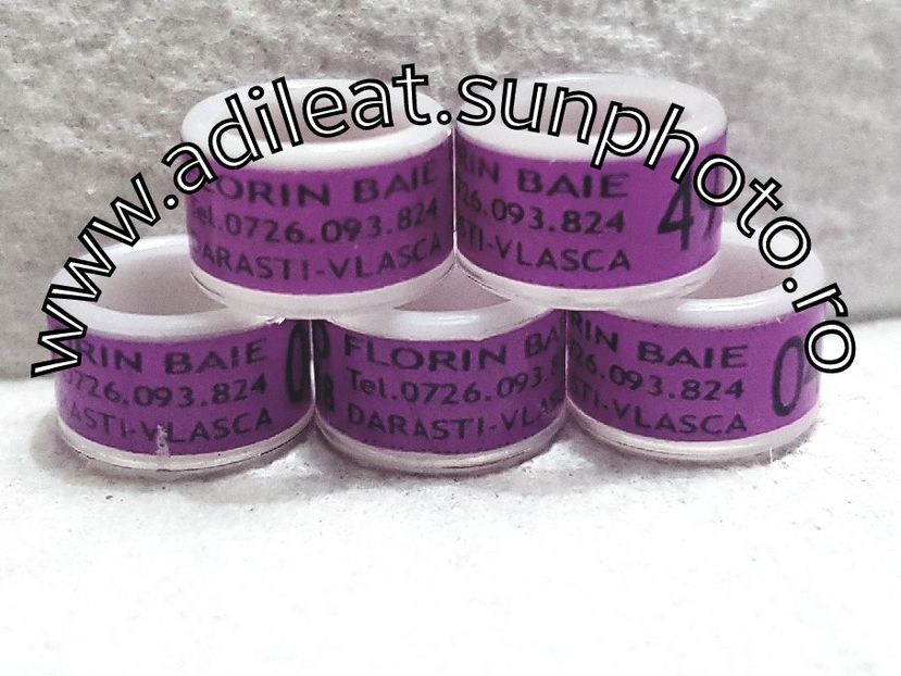 2018-01-20_12-08-35-106 - 1-A-INELE PERSONALIZATE 2018