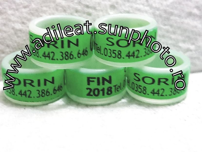 2018-01-20_12-11-45-279 - 1-A-INELE PERSONALIZATE 2018