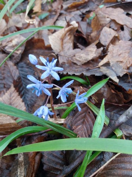  - La țară în MARTIE 2018