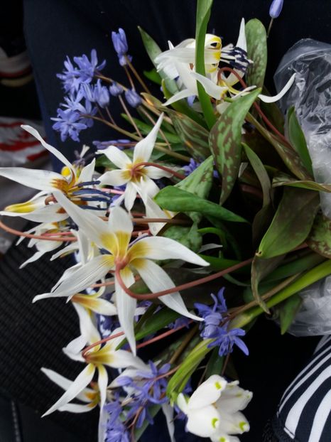  - La țară în MARTIE 2018