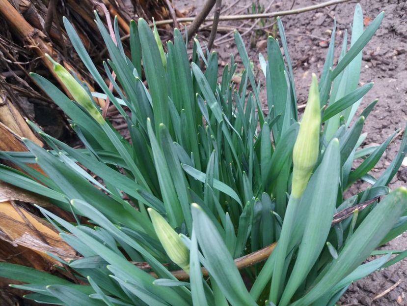  - La țară în MARTIE 2018