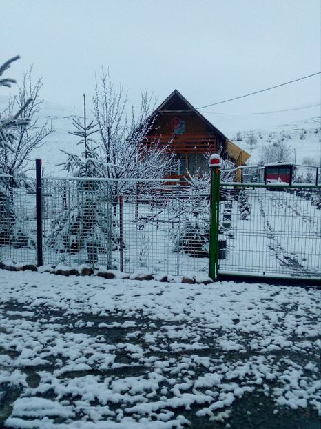  - iarna 2018 spre 2019