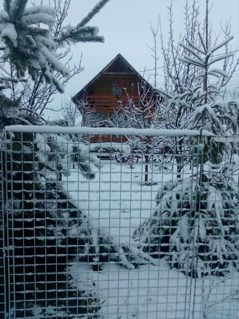  - iarna 2018 spre 2019