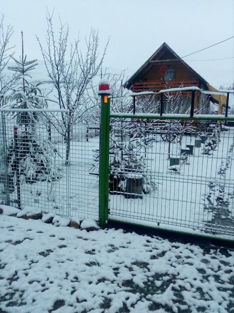  - iarna 2018 spre 2019