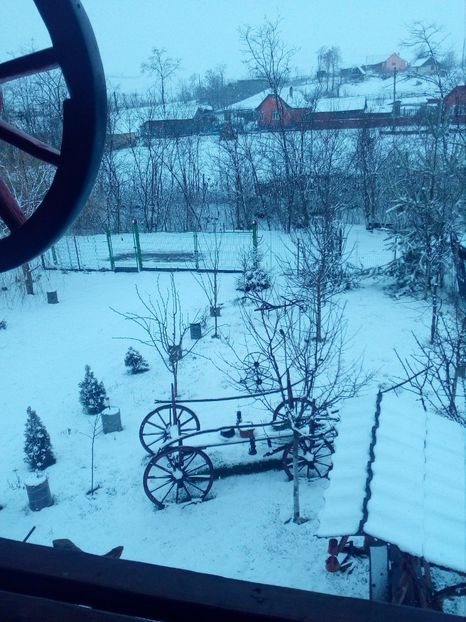  - iarna 2018 spre 2019