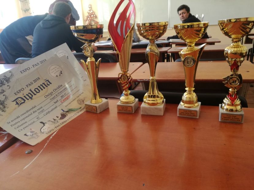  - EXPO JUDETEANA 2018