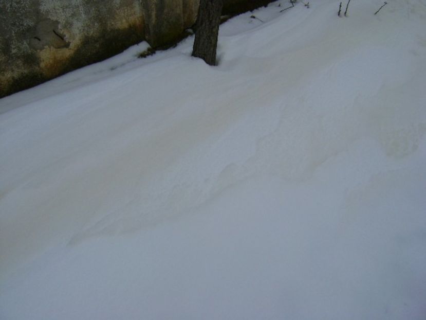 25 mart. 2018 - Zapada portocalie - Primavara 2018