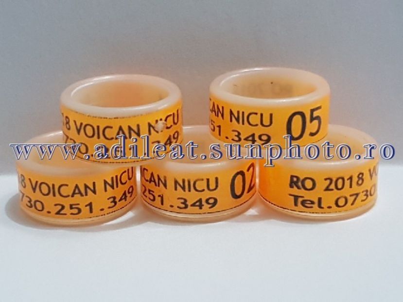 TextArt_180224144504 - 1-A-INELE PERSONALIZATE 2018