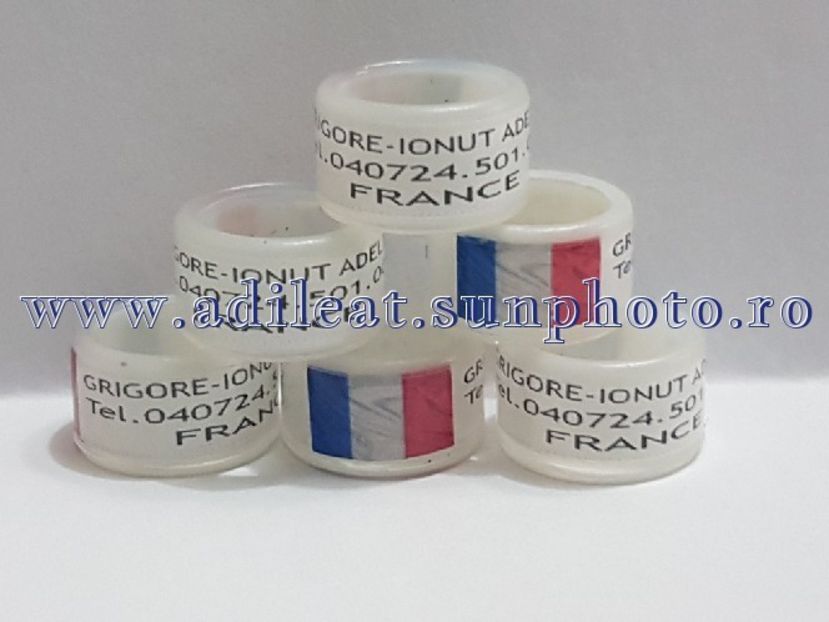 TextArt_180224144423 - 1-A-INELE PERSONALIZATE 2018