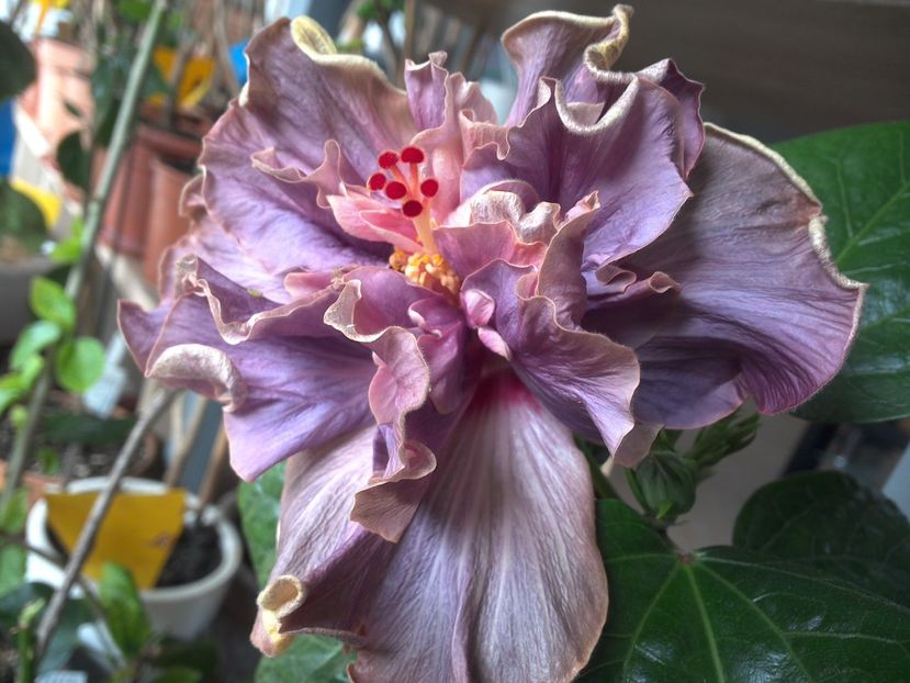 WIN_20180327_104245 - Stormy Days