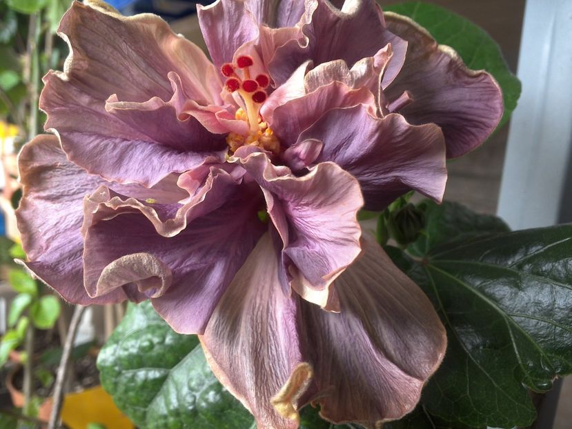 WIN_20180327_104445 - Stormy Days