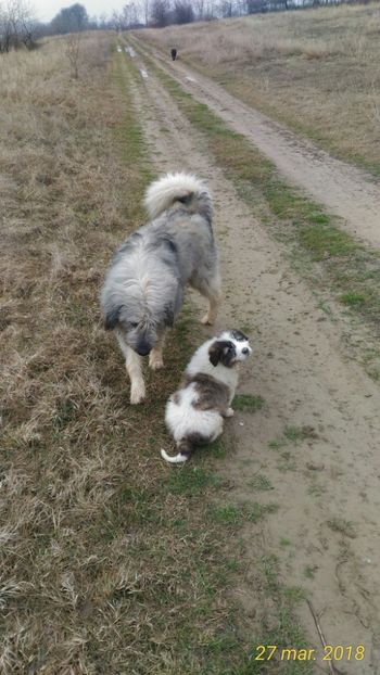 Kaya invata meserie de la Sultan. - Prietenii mei cei mai buni