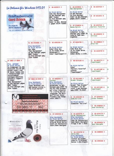 ped842 - Achizitii - 2018 - matca