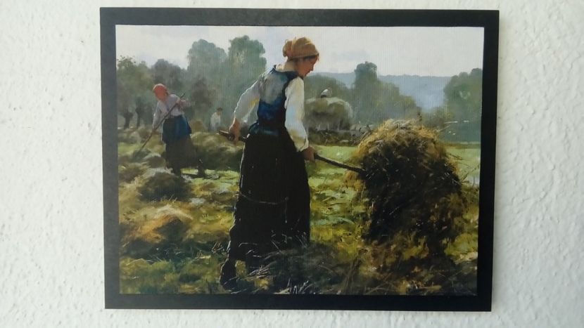 75 - Tablouri - viata la tara