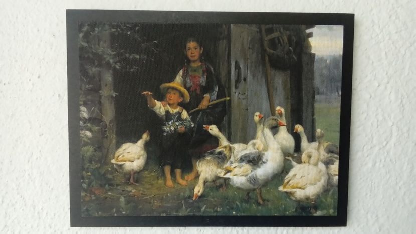 79 - Tablouri - viata la tara