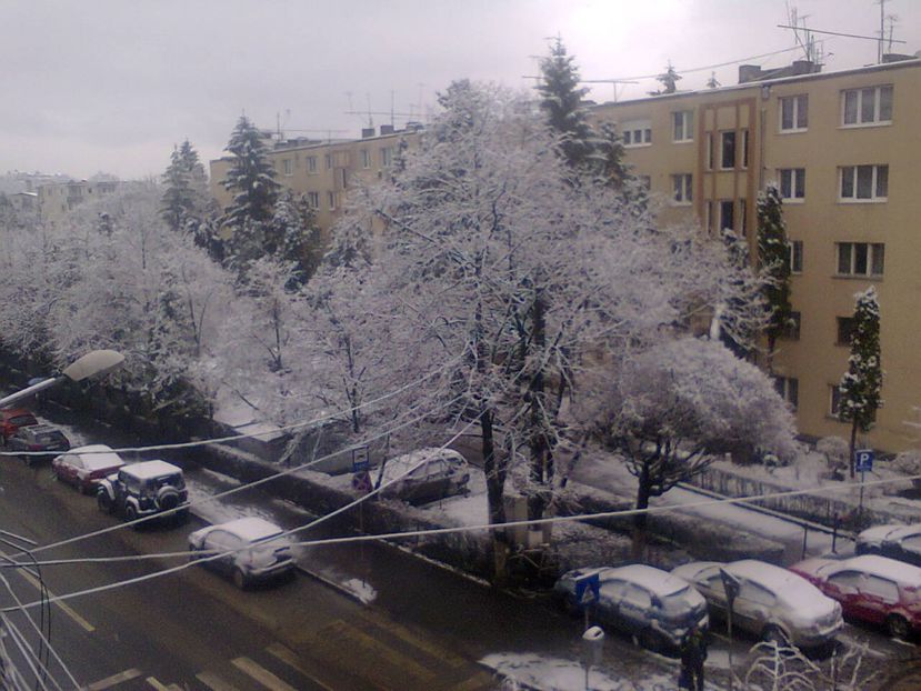 Fotografie3676 - 2018 ULTIMA ZI DE IARNĂ