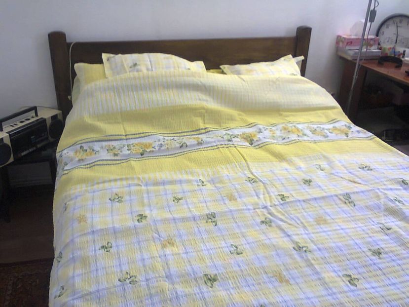 Fotografie3686 - 2018 AM SCHIMBAT PATUL DIN DORMITOR!!