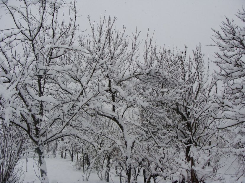 28953792_2034927993452286_7485097109740311184_o - Martie 2018