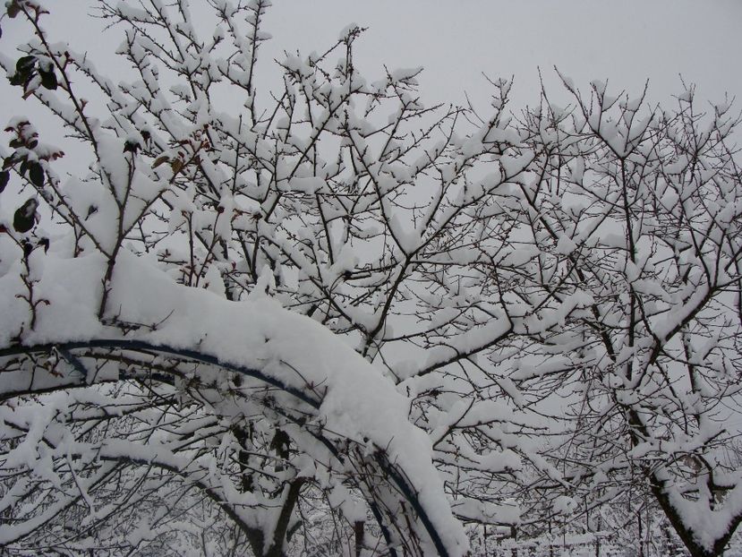 29060424_2034927406785678_4461532186508714526_o - Martie 2018