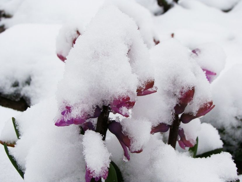 29388327_2033059046972514_4846684900624957440_o - Martie 2018